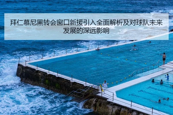 拜仁慕尼黑转会窗口新援引入全面解析及对球队未来发展的深远影响